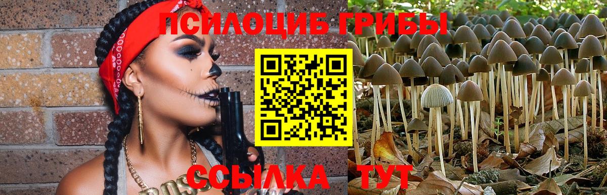 Галлюциногенные грибы ЛСД Унеча